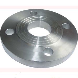 Flange Fitting Pipa Stainless Steel 304